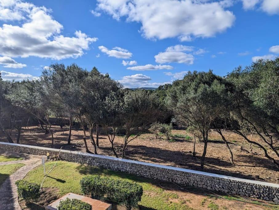 Bella Brisa, Port D'Addaia Lägenhet Exteriör bild